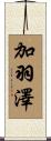 加羽澤 Scroll