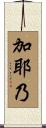 加耶乃 Scroll