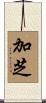 加芝 Scroll