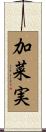 加菜実 Scroll