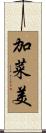 加菜美 Scroll