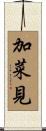 加菜見 Scroll