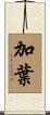 加葉 Scroll