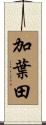 加葉田 Scroll