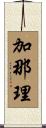 加那理 Scroll