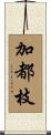 加都枝 Scroll