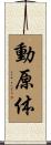 動原体 Scroll