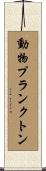 動物プランクトン Scroll