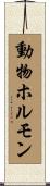 動物ホルモン Scroll