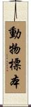 動物標本 Scroll