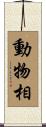 動物相 Scroll