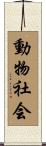 動物社会 Scroll