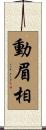 動眉相 Scroll
