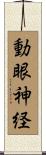 動眼神経 Scroll