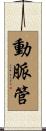 動脈管 Scroll