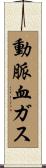 動脈血ガス Scroll