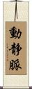 動静脈 Scroll