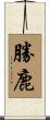勝鹿 Scroll