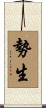 勢生 Scroll