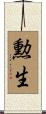 勲生 Scroll