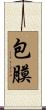 包膜 Scroll