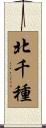 北千種 Scroll