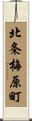北条梅原町 Scroll