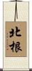 北根 Scroll