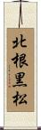 北根黒松 Scroll