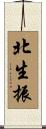 北生振 Scroll