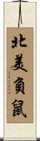 North American Opossum / Possum Scroll