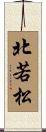 北若松 Scroll