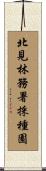 北見林務署採種園 Scroll
