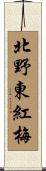 北野東紅梅 Scroll
