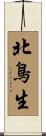 北鳥生 Scroll