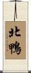 北鴨 Scroll