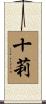 十莉 Scroll