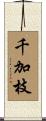 千加枝 Scroll