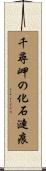 千尋岬の化石漣痕 Scroll