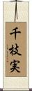 千枝実 Scroll