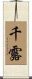 千露 Scroll