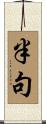 半句 Scroll