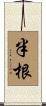 半根 Scroll