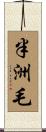 半洲毛 Scroll