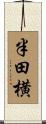半田横 Scroll