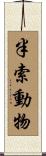 半索動物 Scroll