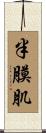 半膜肌 Scroll