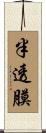 半透膜 Scroll