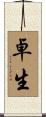 卓生 Scroll