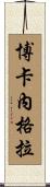 Bocanegra Scroll